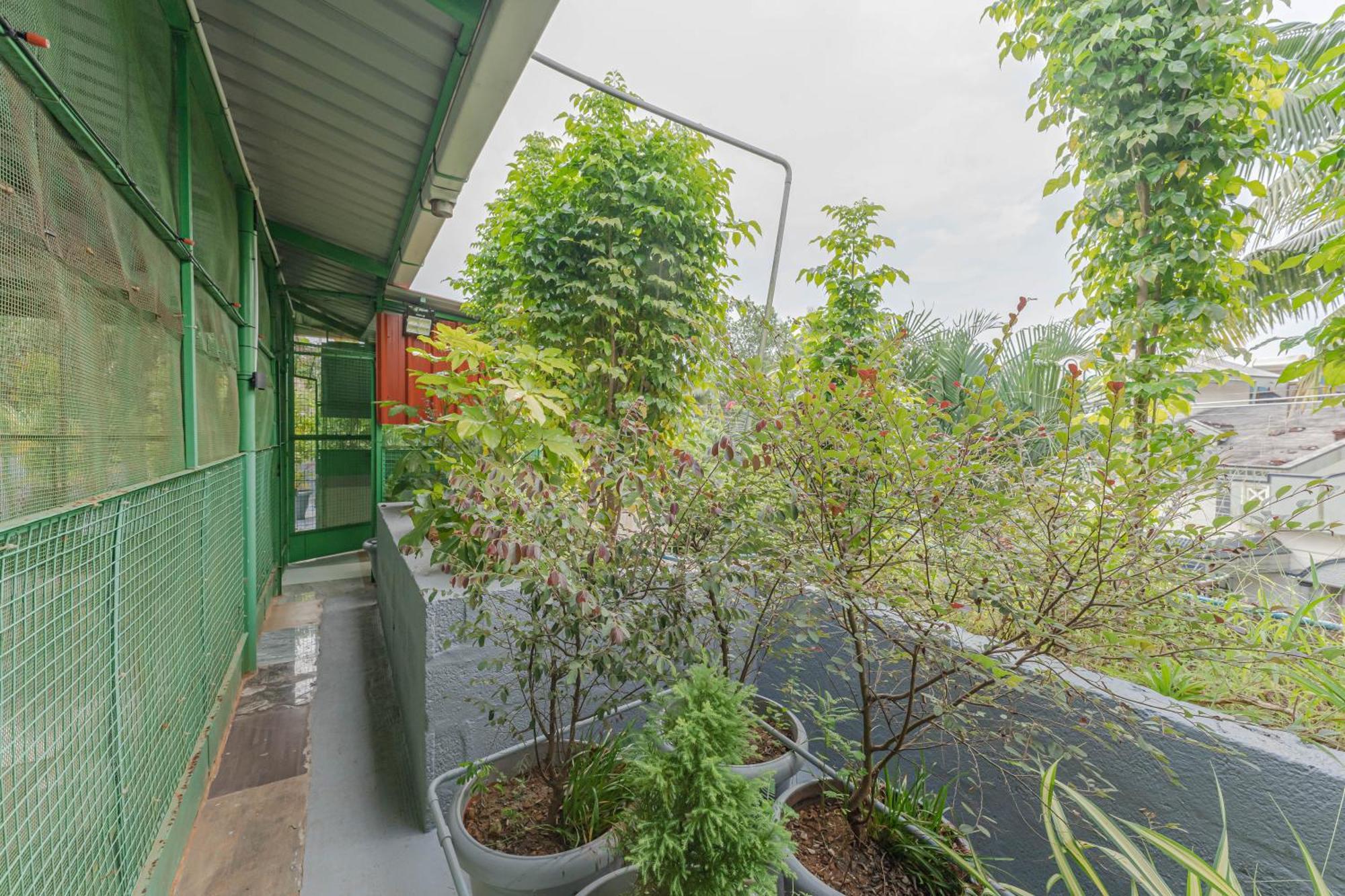 Udupi Homestay Garden Villa Zewnętrze zdjęcie